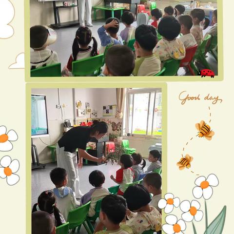 [全环境立德树人]崂山区七彩贝幼儿园端午节系列活动