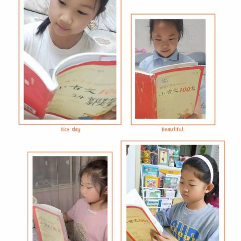 以书为伴   不负童年 —— 奋斗小学二四班 读书节 汇报美篇