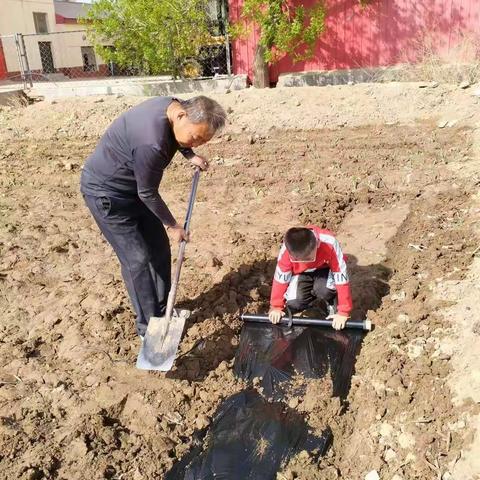 以劳树品德   以动促成长—— 奋斗小学二四班 劳动节活动   汇报美篇