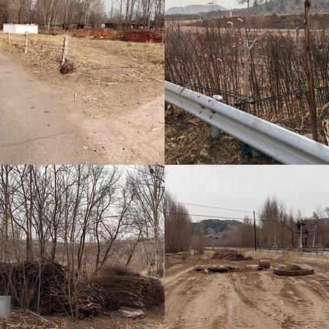 福禄寿喜三杨开泰 众人拾柴创久福西沟