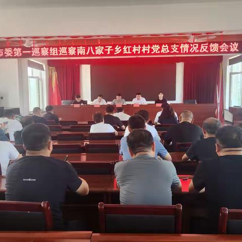 市委第一巡察组向南八家子乡党委 红村村党总支反馈巡察情况