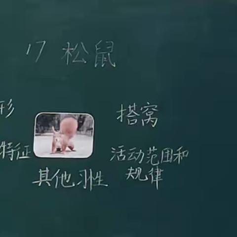 “修己”教师基本功提升工程之周分享（八）