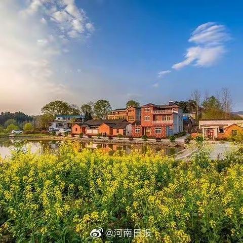 🌸实现新提升展示新风貌🌸