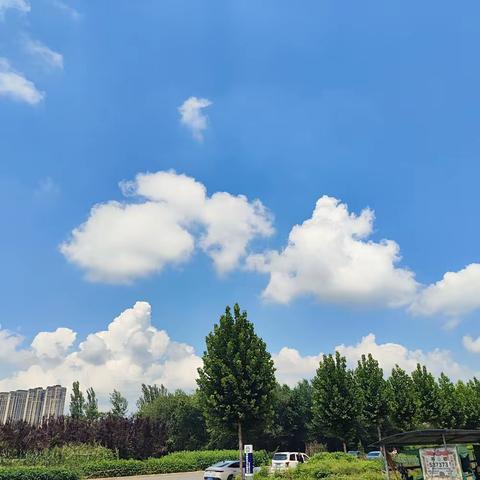 🔔紧绷责任险、织牢安全网🔔