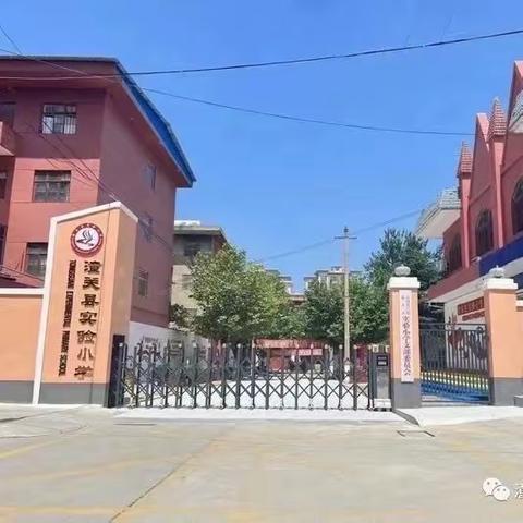 向阳而生 筑梦远行——潼关县实验小学第十四周工作纪实