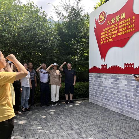 武义县残联党支部到金华山双龙电站参观