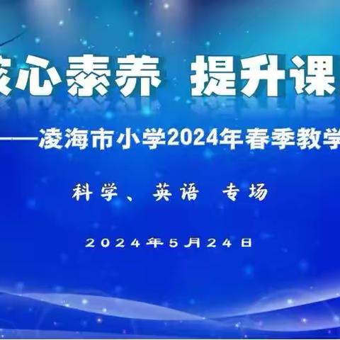 “研”语绽芳华 聚力共成长 —凌海市2024春季小学研讨活动