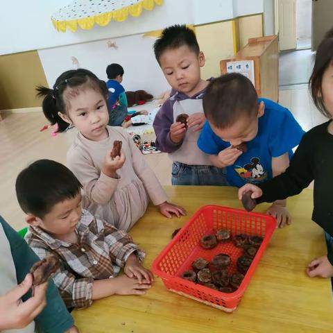 中都西苑幼儿园小三班十月份精彩内容