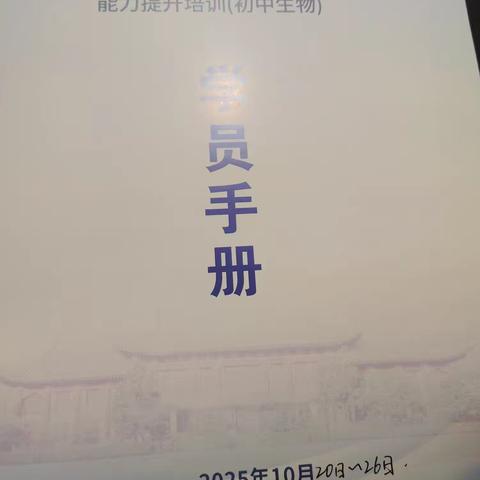 遗憾中的第一场惊喜