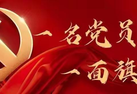 曙光小学党支部党员先进个人事迹 ———李路