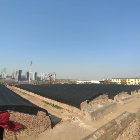 北山口镇北山口村：冬来种下羊肚菌，撑起致富“黄金伞”