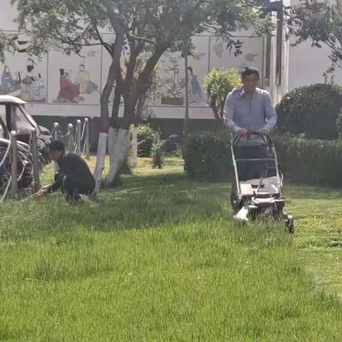 彰东街道持续推进人居环境整治