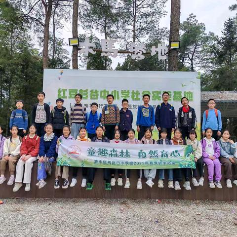 渝中区两路口小学校六年级二班丨童趣森林 自然育心 2024-2025学年下学期春季研学实践活动