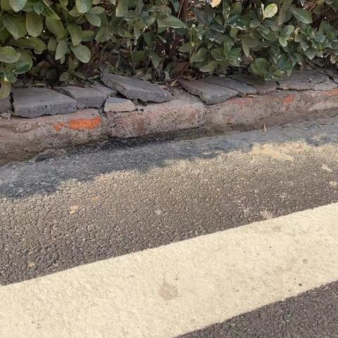 和美结硕果|堰北社区“缝缝补补”美化环境 用心做好社区治理工作