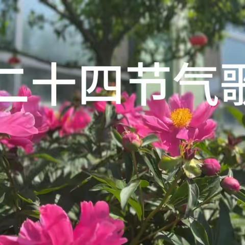 《二十四节气歌》之手势舞