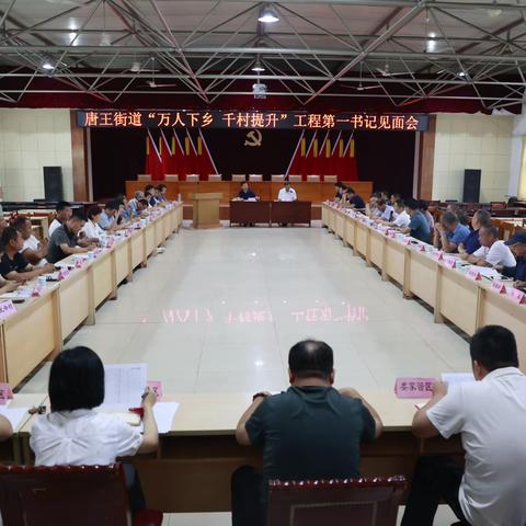 唐王街道召开“万人下乡 千村提升”工程第一书记见面会