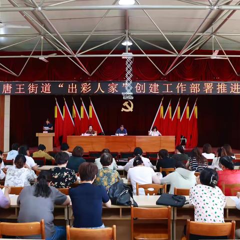 唐王街道召开“出彩人家”创建部署推进会