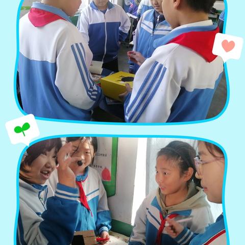 有趣的“摸一摸” “掷一掷”——翟家庄小学五年级数学课堂活动纪实