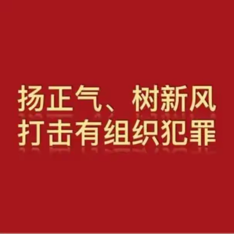 学习解读《反有组织犯罪法》