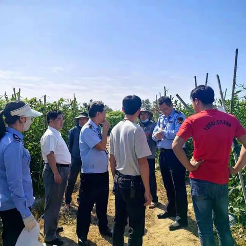 压实岁末年初生产安全，确保我市瓜果菜顺利出岛