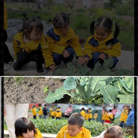 温暖三月，快乐相伴——南阳向阳幼儿园小二班精彩回顾