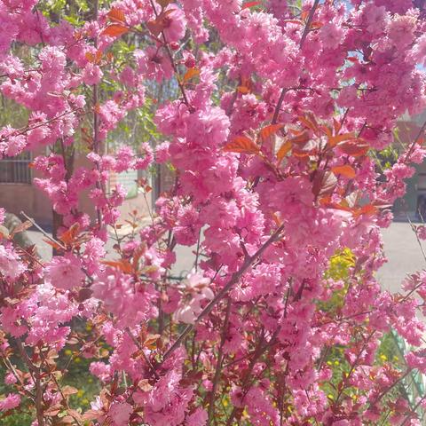 互助县城南小学的文章