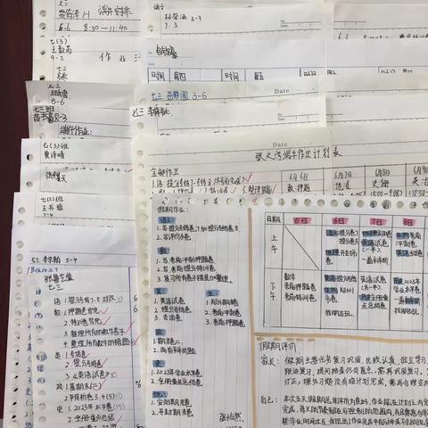 规划·执行·反思——端午作业规划执行记录单