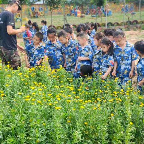 青少年农耕研学三天两夜夏令营