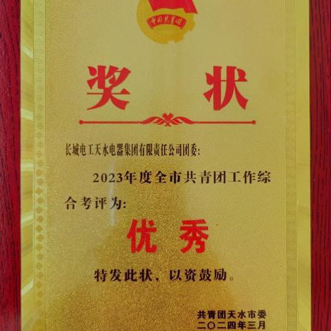 【喜报】天电集团团委在2023年度全市共青团工作综合考评中被评为“优秀”