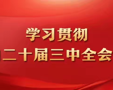 学习贯彻党的二十届三中全会精神