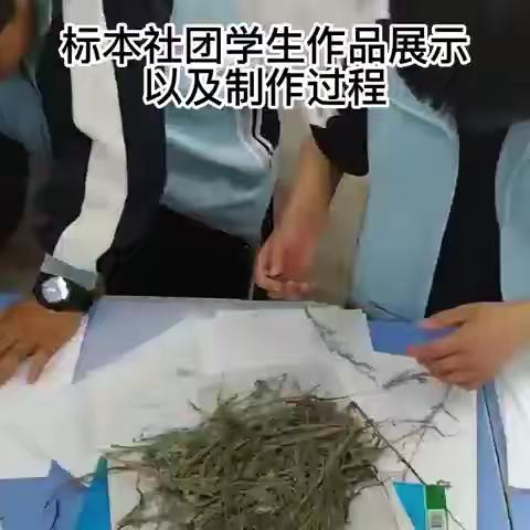 教育双减在行动，胜利社团展风采——胜利蒙古族乡中心学校社团展示活动