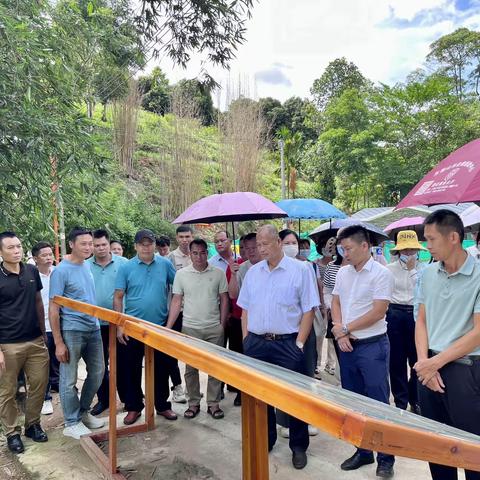 学经验 促发展——本号镇人大代表考察团开展外出学习交流活动