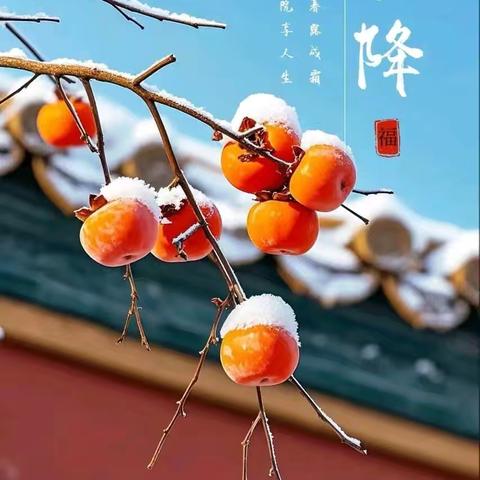 霜华初降，秋韵悠长--东杨庄小学霜降主题活动