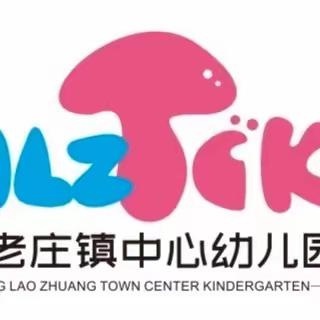 【联合教研】幼小携手待花开，科学衔接见未来——宁老庄镇中心幼儿园幼教集团联合教研活动