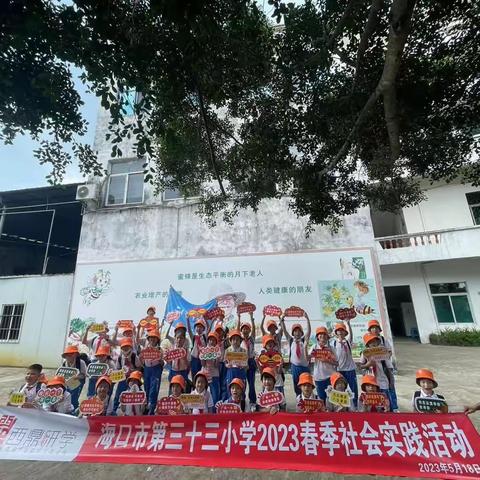 三十三小 三五班  2023年春季社会实践活动