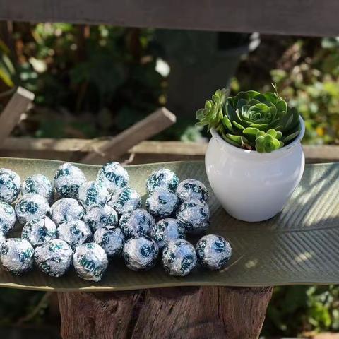 普洱茶之你问我答