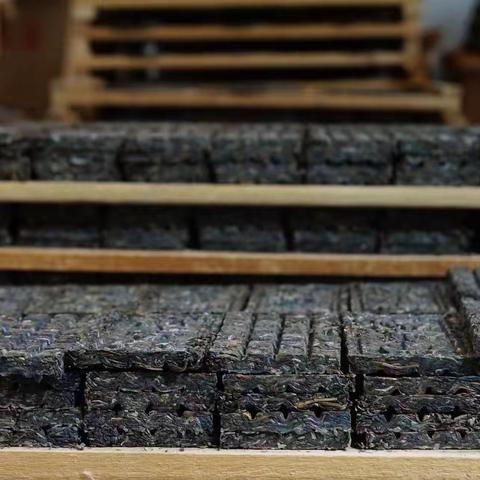 认识普洱茶叶面