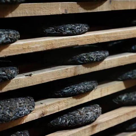 认识品种，茶叶风格的形成