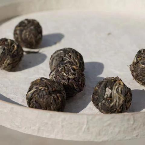 普洱春茶与秋茶