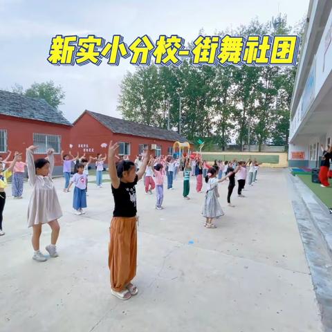 新区实验第二小学的简篇