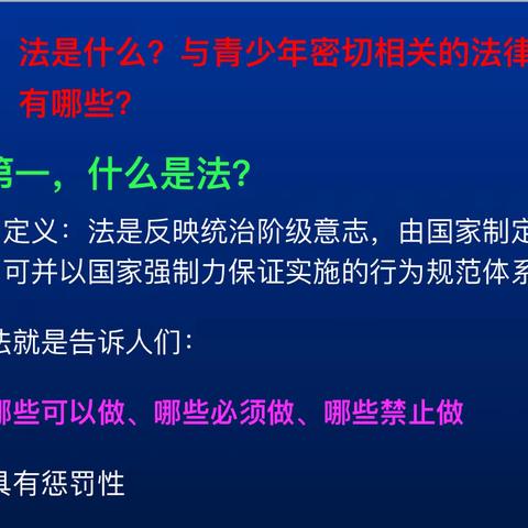 学法扬帆 护童启航--凤小二4