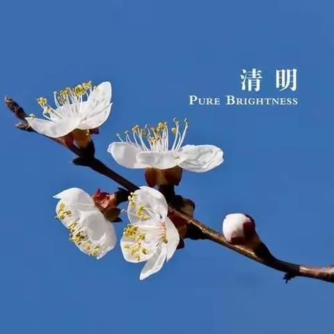 【全环境立德树人】缅怀革命先烈，传承红色精神——羊口中心小学开展“清明节”主题教育活动