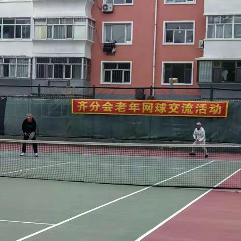 齐分会老年网球交流活动