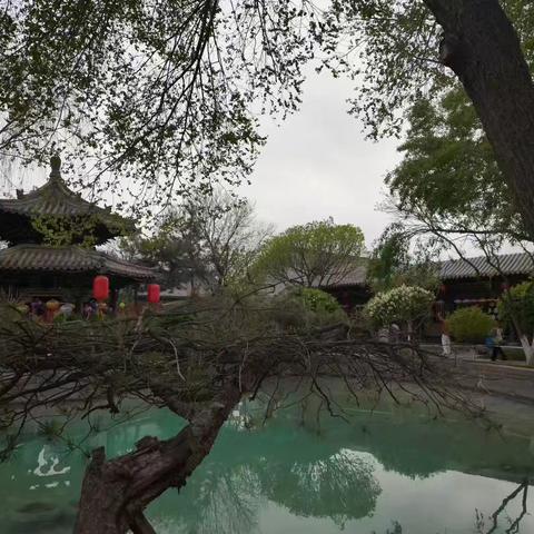 清明节 ﻿传统与文化﻿的传承