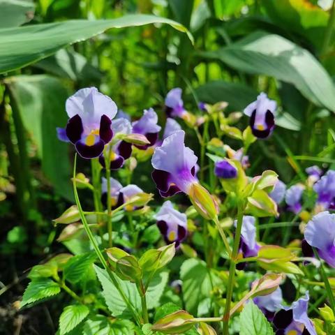 2024春季教学教学督导（八）