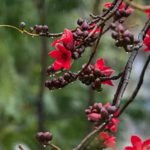 2025年春季教学督导（二）