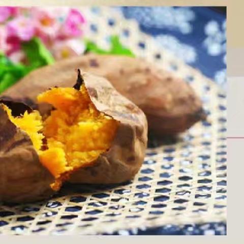 烤红薯——冬天里的甜蜜回忆 新乐市实验学校四年级3班家长大讲堂