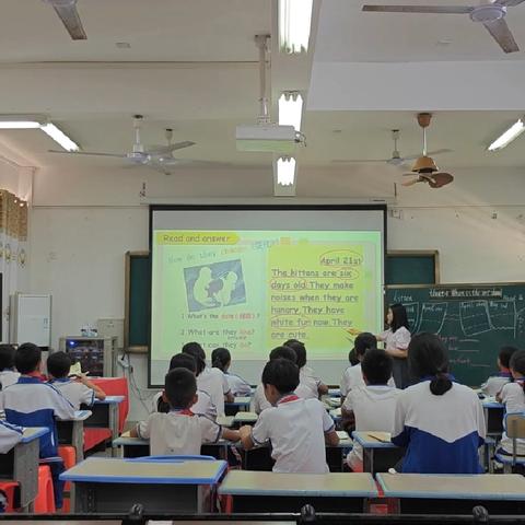 探索动物成长奥秘——人教版五年级下册Unit4 Read and write课堂之旅