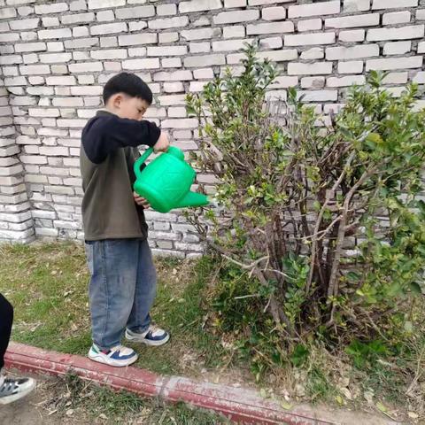 植此青绿，“树”以未来—— 延津县石婆固镇 ﻿里士村小学植树节 活动纪实