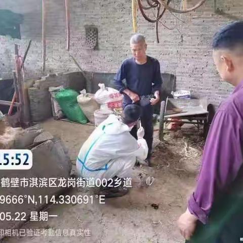 防患家禽卫生健康安全问题